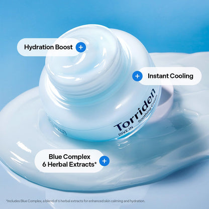 Torriden DIVE-IN Low Molecular Hyaluronic Acid Soothing Cream 100ml